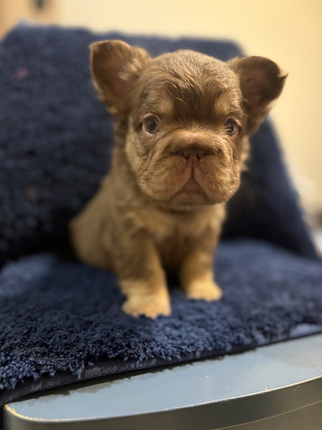 Original photograph of Little Bit